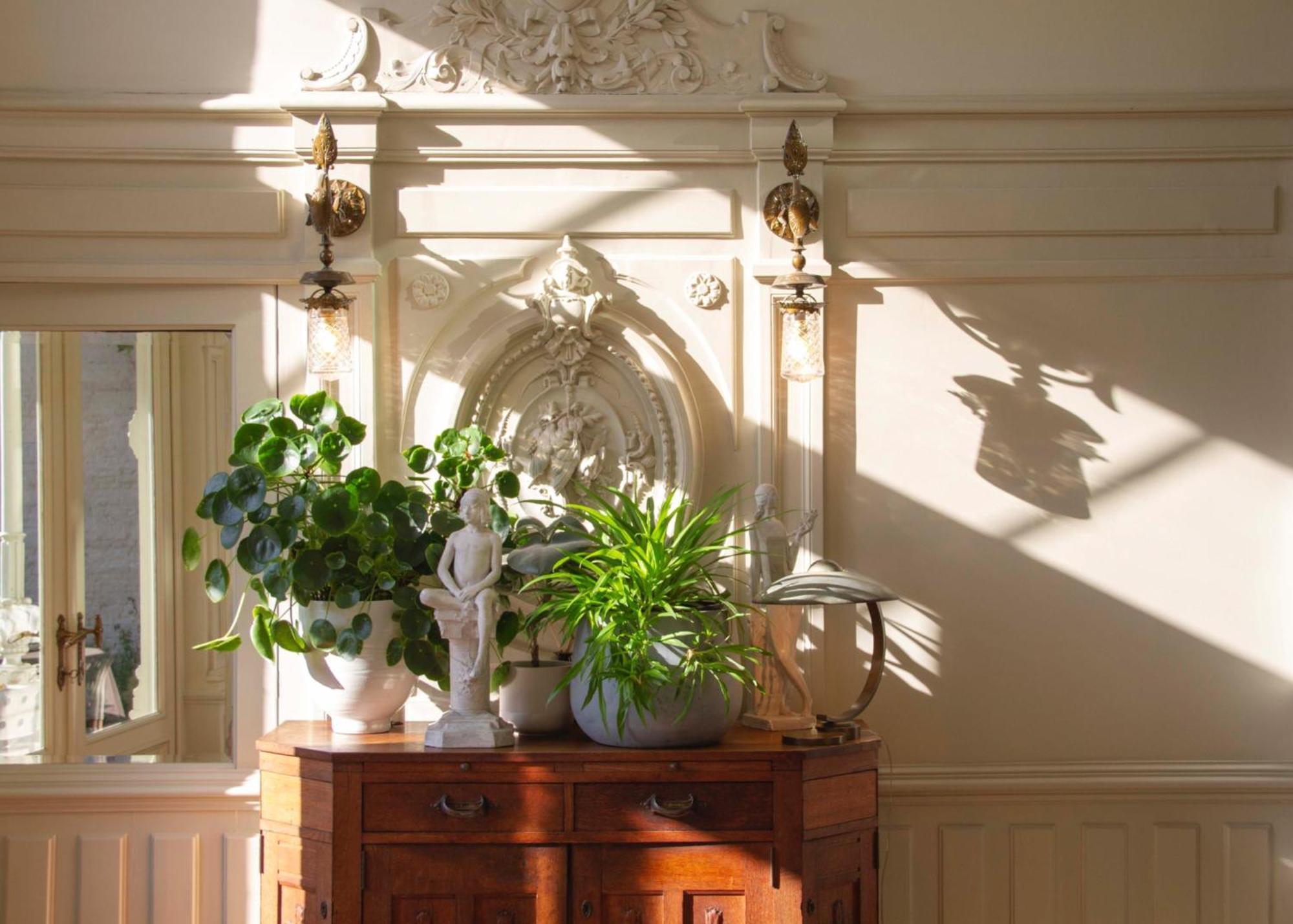 Huis Dujardin Bed&Breakfast Antwerpen Buitenkant foto
