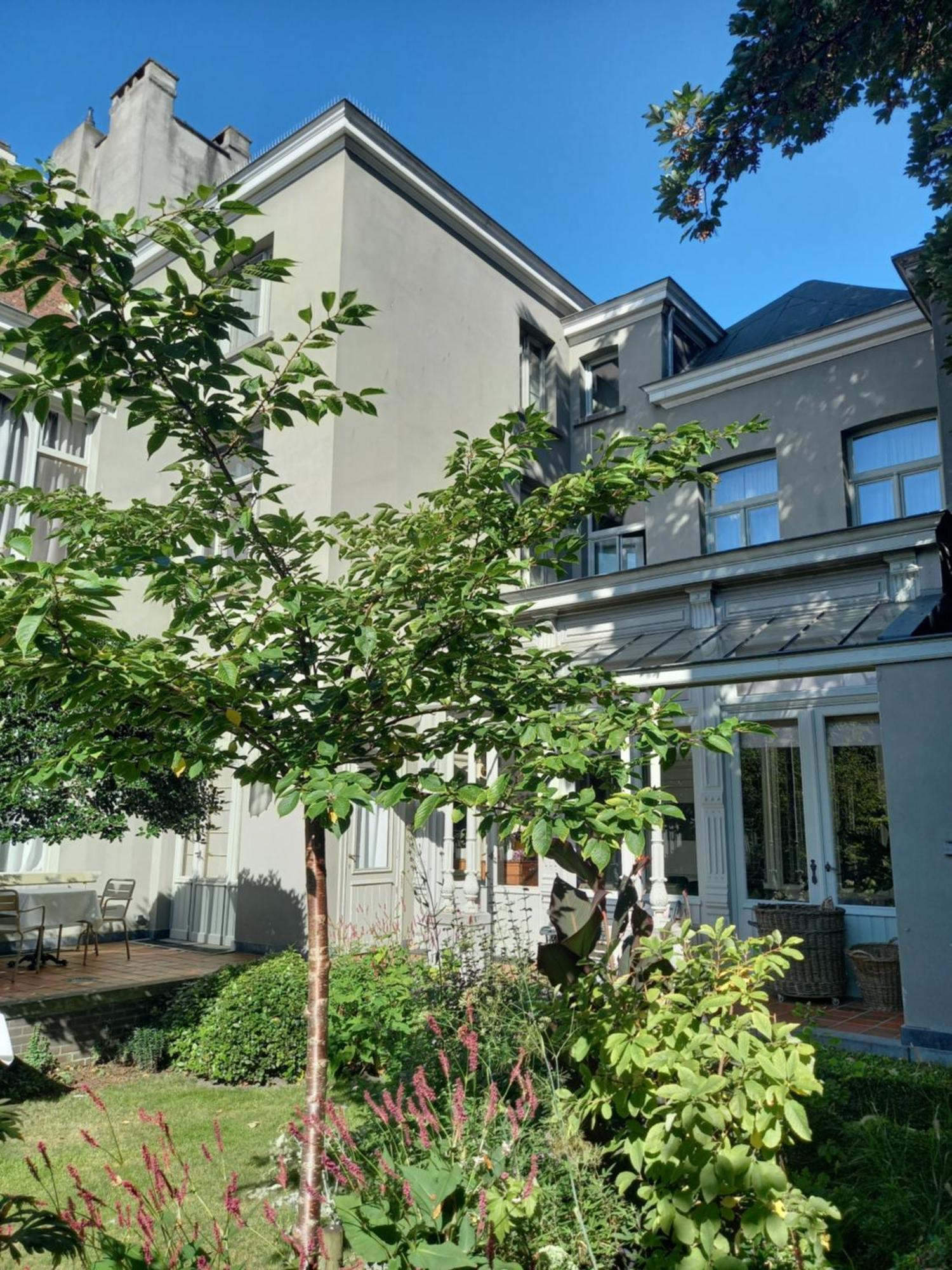 Huis Dujardin Bed&Breakfast Antwerpen Buitenkant foto