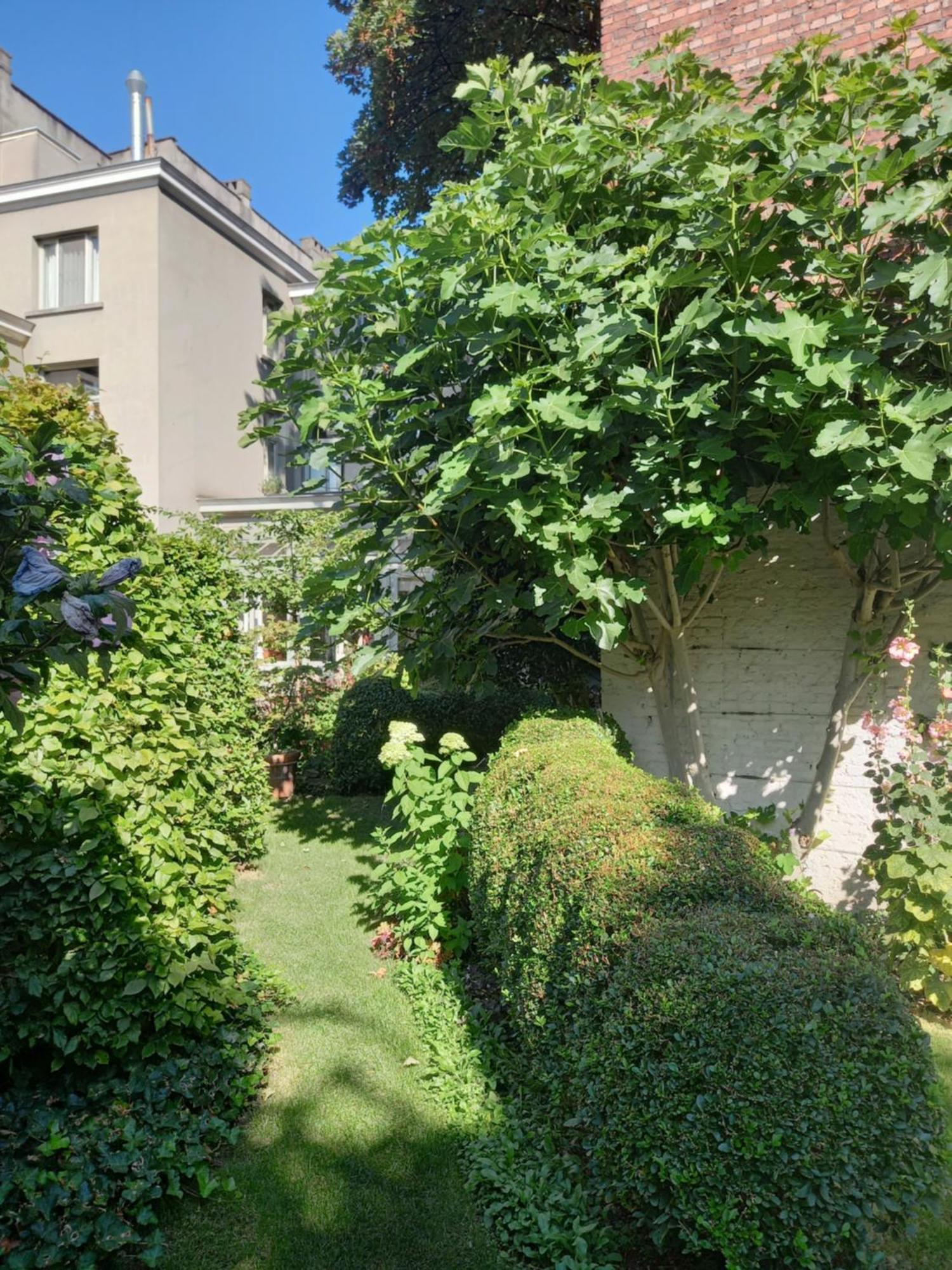 Huis Dujardin Bed&Breakfast Antwerpen Buitenkant foto